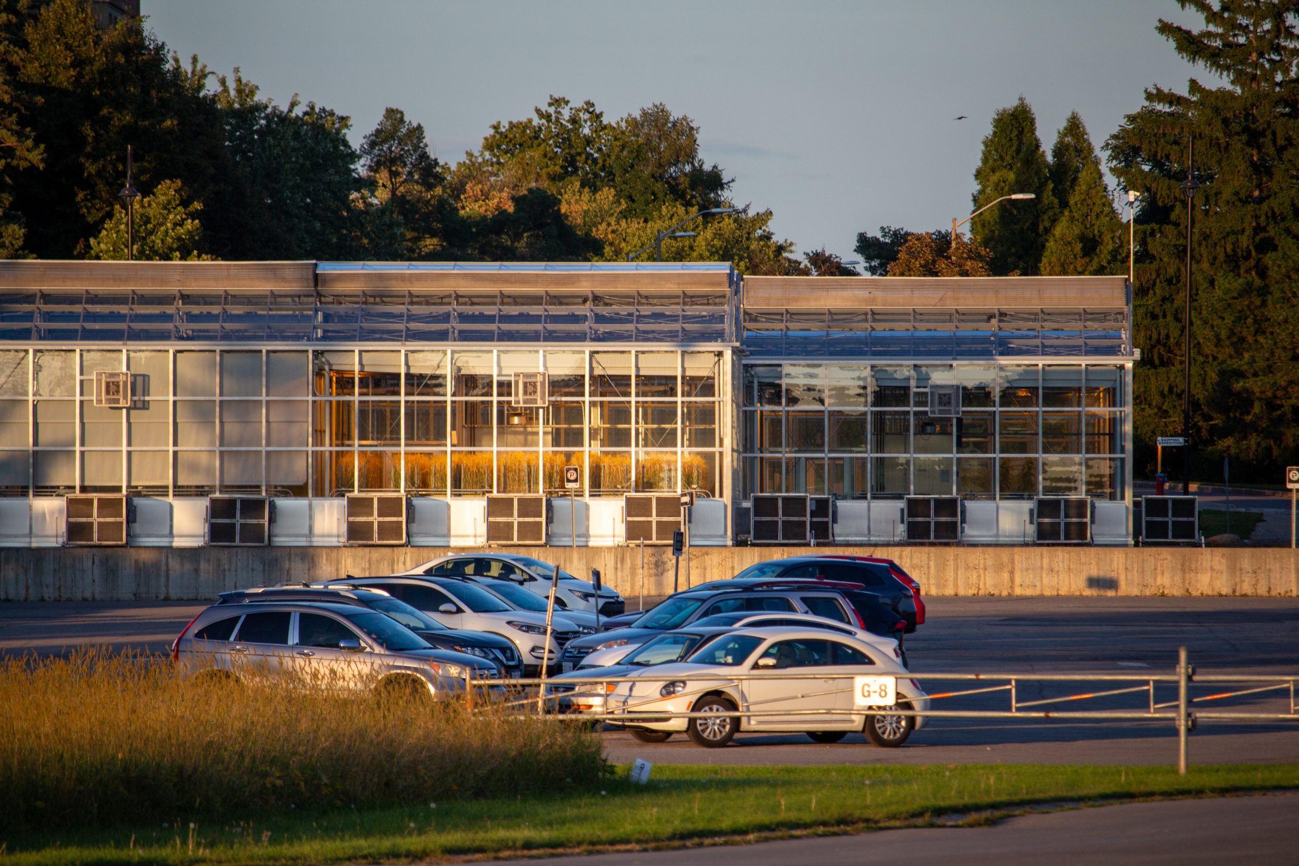 A greenhouse off of Carling Avenue. 