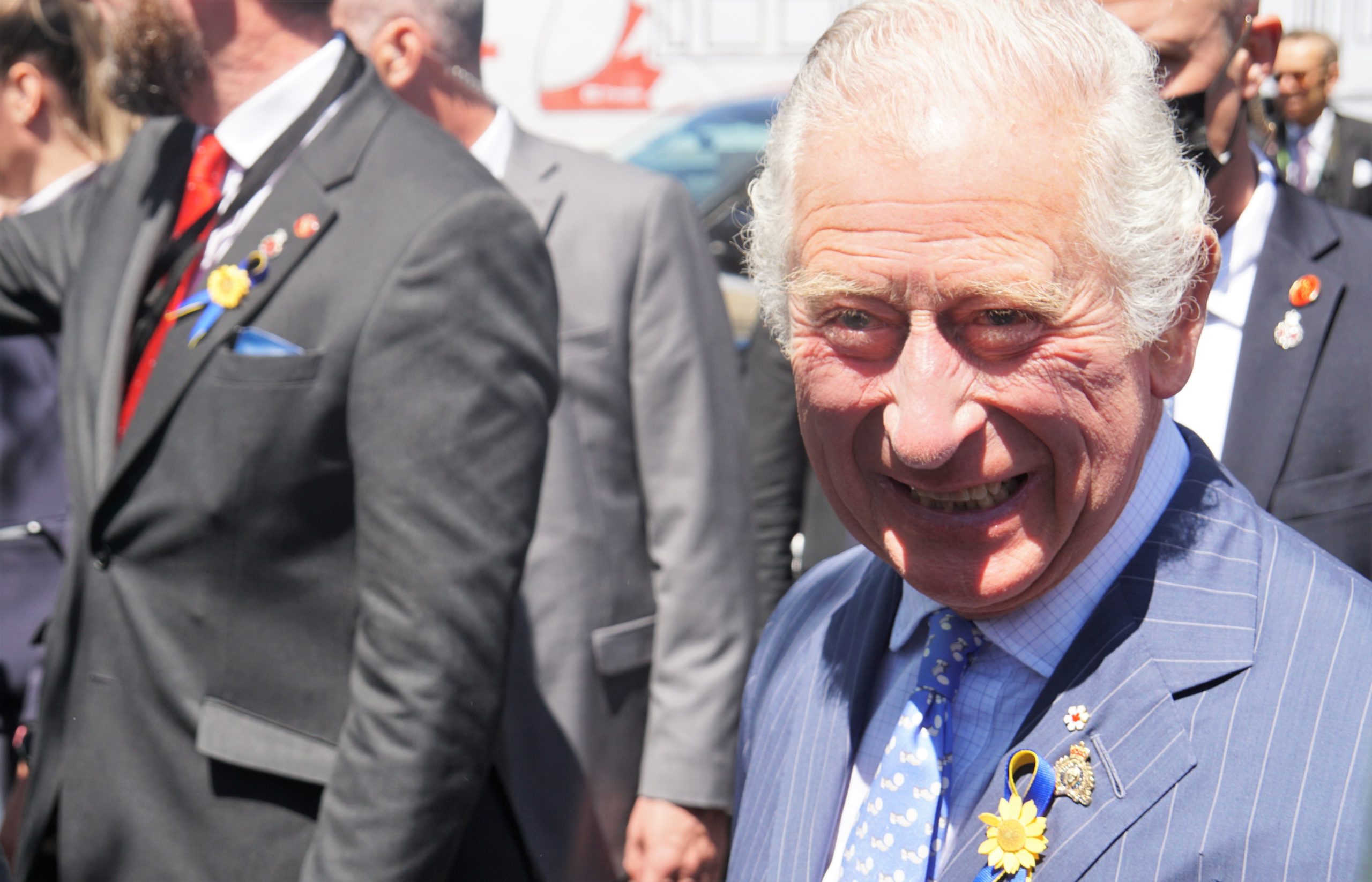 Prince Charles wears a blue pinstripe suit and sunflower pin on a sunny day. There is a row of servicemen behind him.