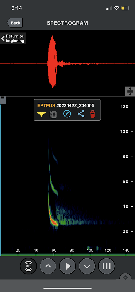 A screenshot of an app on an iPhone for tracking bat echolocations.|||