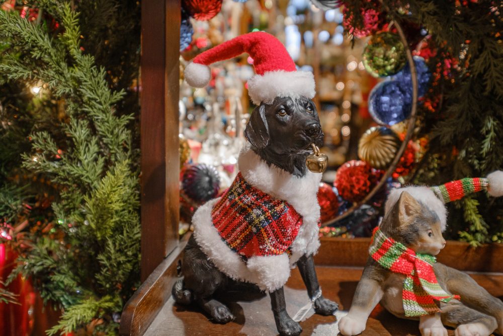 An ornament of a dog wearing a Santa hat, wearing plaid and carrying a bell