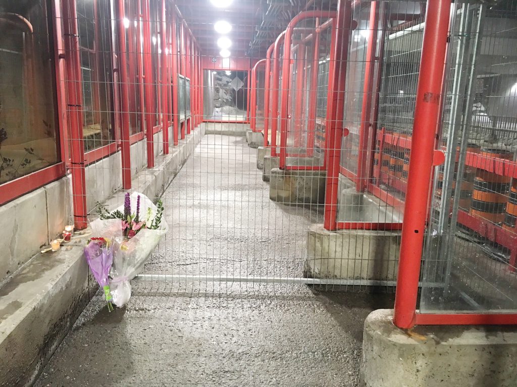 The Westboro bus shelter stands empty at night with flowers on one side