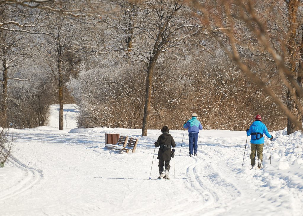 Three skiers are seen at a distance along the SJAM trail on a sunny day surrounded by trees