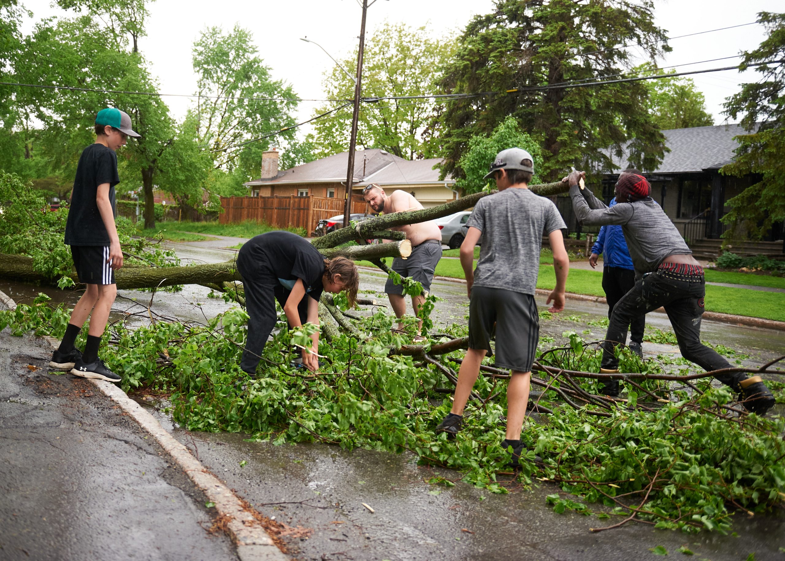 A group of people try to move a fallen tree of the road.