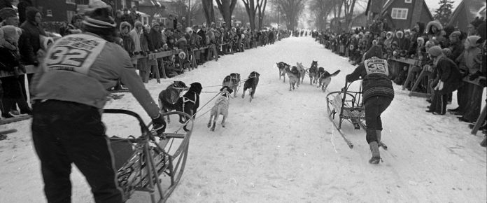 ||||||||||The dog sled race passes Byron and Clarendon as pictured in the Ottawa Citizen on Monday January 27