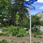 Pollinator garden, Ottawa