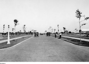 Island Park Drive looking north from approx Iona (Library Archives Canada, PA-034411)