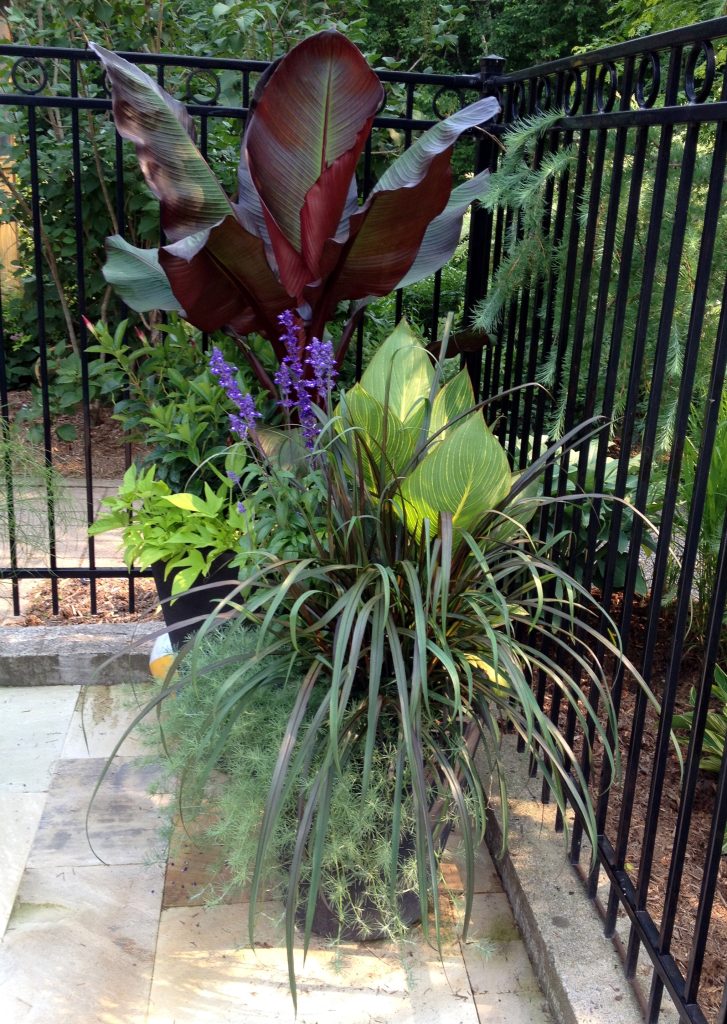 A bright plant container is seen on a pool deck