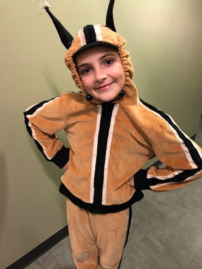 10-year-old Maisie Burchett is one of the chipmunks in this year’s performance of Ballet Jörgen’ The Nutcracker: A Canadian Tradition at the Shenkman Arts Centre.|10-year-old Maisie Burchett