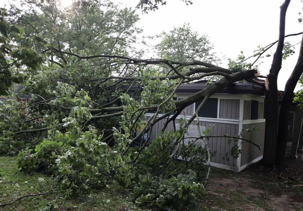 Large parts of a tree sits on top of the community building. 