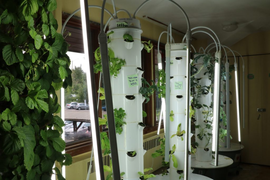 Hydroponic gardens are located next to a window.