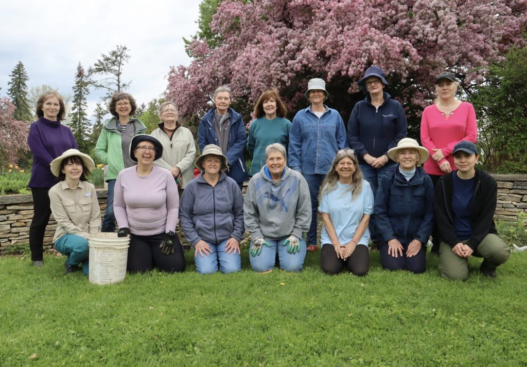 A group of gardeners pose in rows for a photo. A cherry blossom tree is in the distance. 