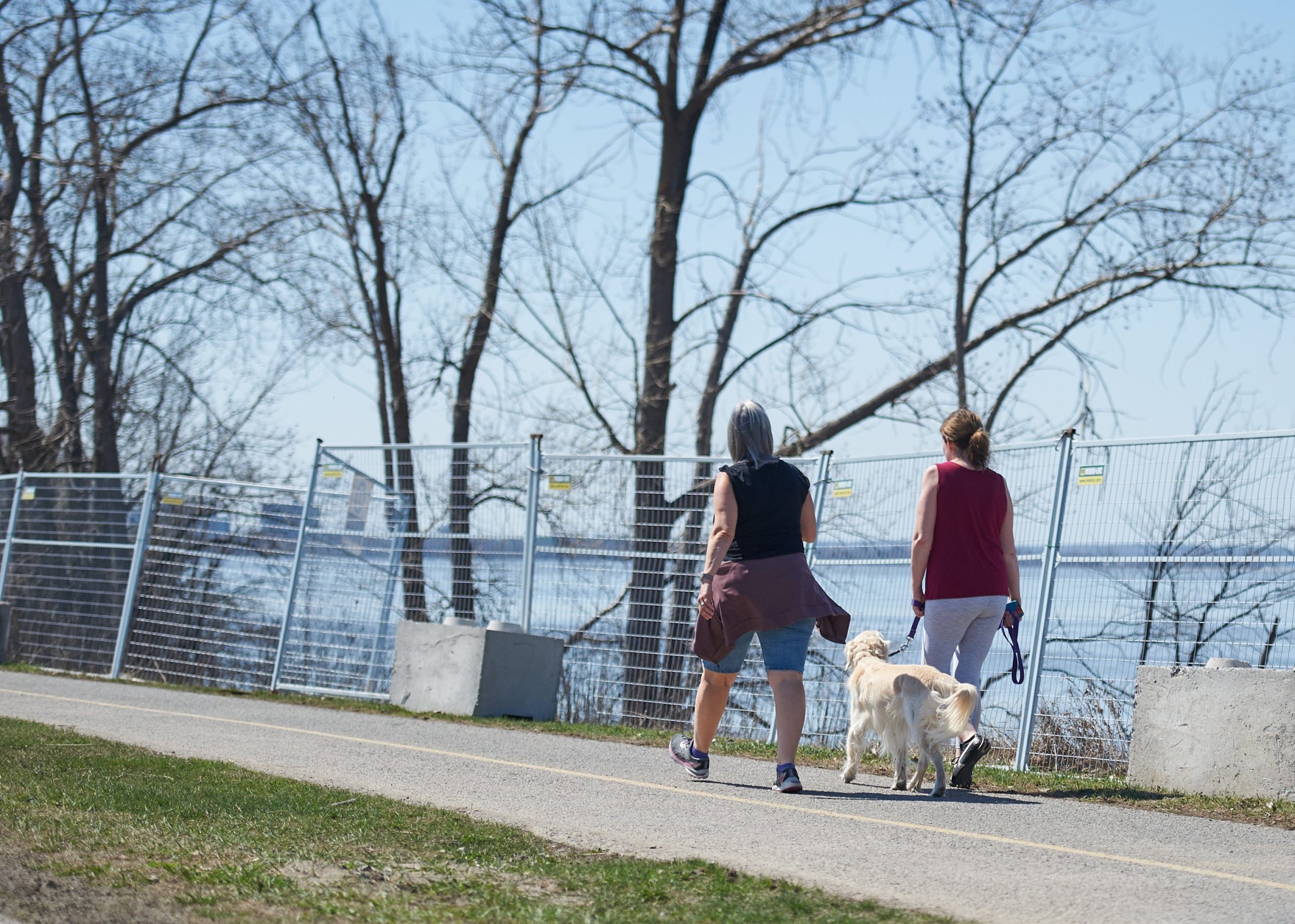 Two women walk a dog on a bike bath near the Ottawa River. 