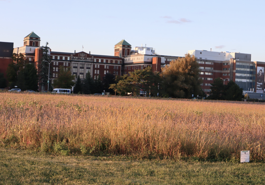 A farm field with the Civic Hospital in the distance. 