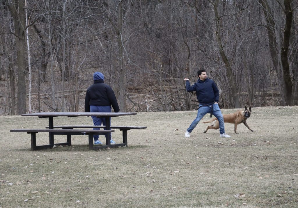 Two people play fetch with a dog. A picnic table is also seen. 