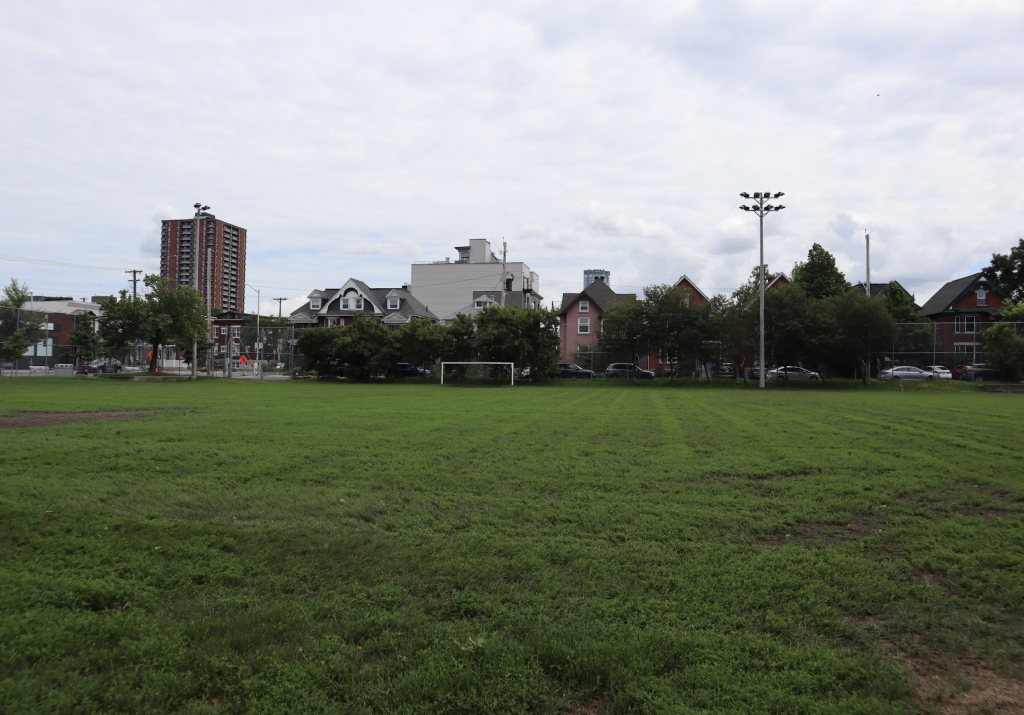 The field behind the city of Ottawa plant bath. 