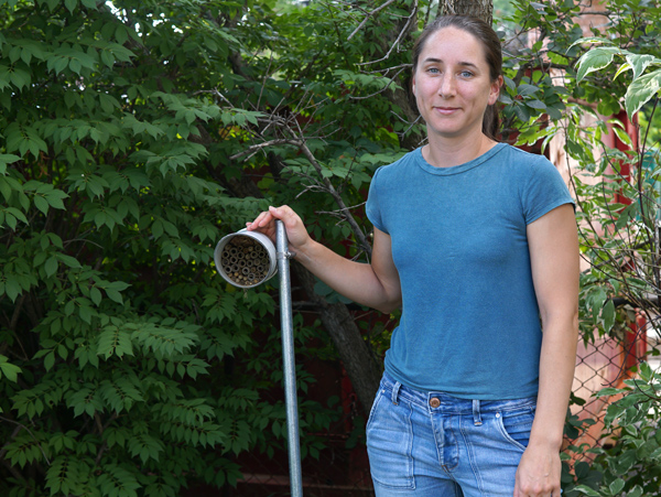 Westboro’s Sophie Cardinal is one of the organizers behind Ottawa Bug Day, which is taking place September 10. Sophie uses bamboo and wood block bee houses to create habitat for solitary bees in her backyard. Photo by Anne Boys-Hope