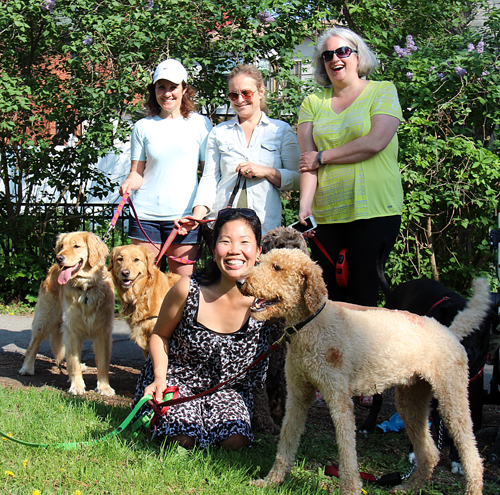 Some of the dog walkers at Fisher Park: Kim Pilon with Libby, Audra Curley with Nahla, Yuri Cho with Louie, and Hilary McVey with Annabelle. Photo by Andrea Cranfield