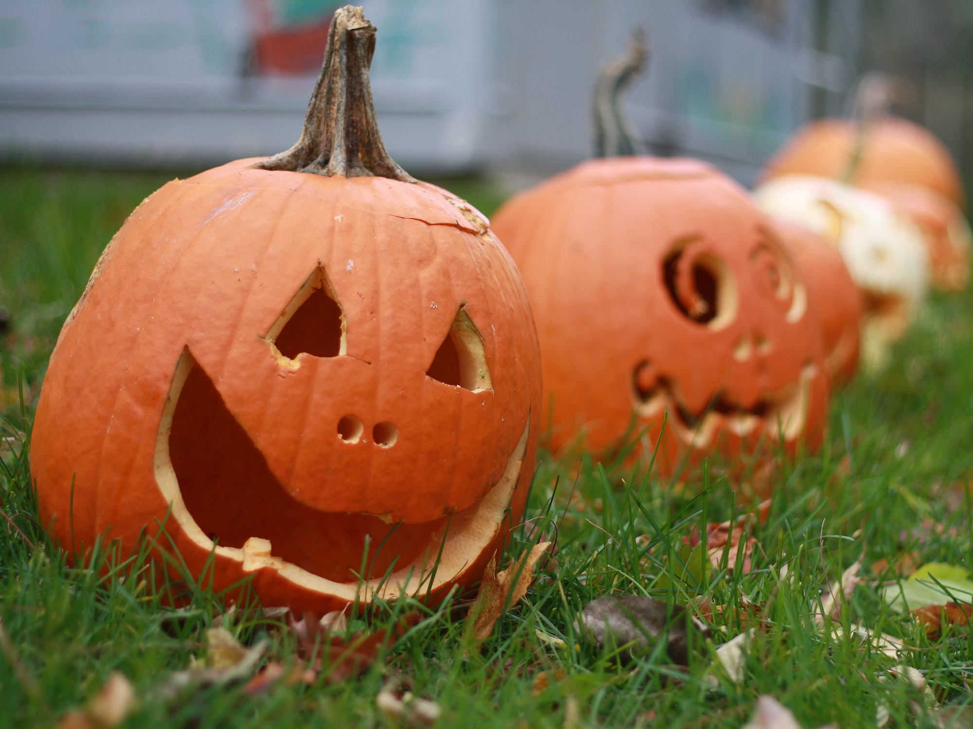 Jack o’lanterns lit up the night on November 1.?Photo submitted by Anita Grace