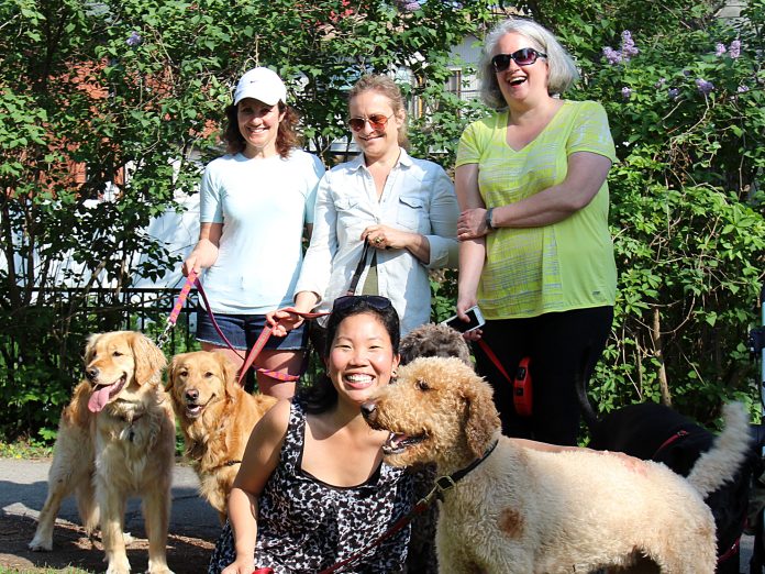 |Some of the dog walkers at Fisher Park: Kim Pilon with Libby