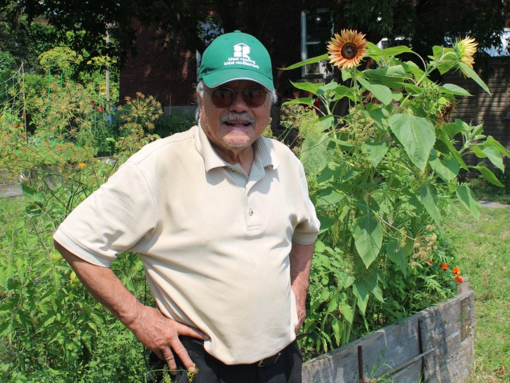 An poses next to a garden with a sun flower.