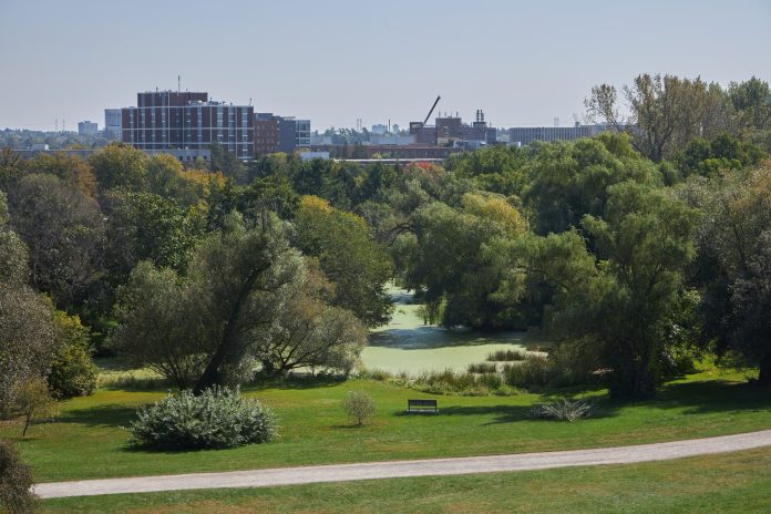 Many trees are seen from on top of a hill. A portion of Carleton University is seen in the distance.