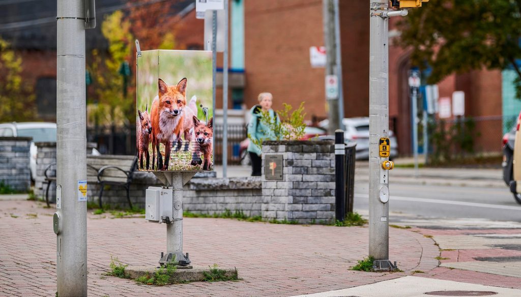 A picture of foxes on a traffic box. A woman walks by in the distance.